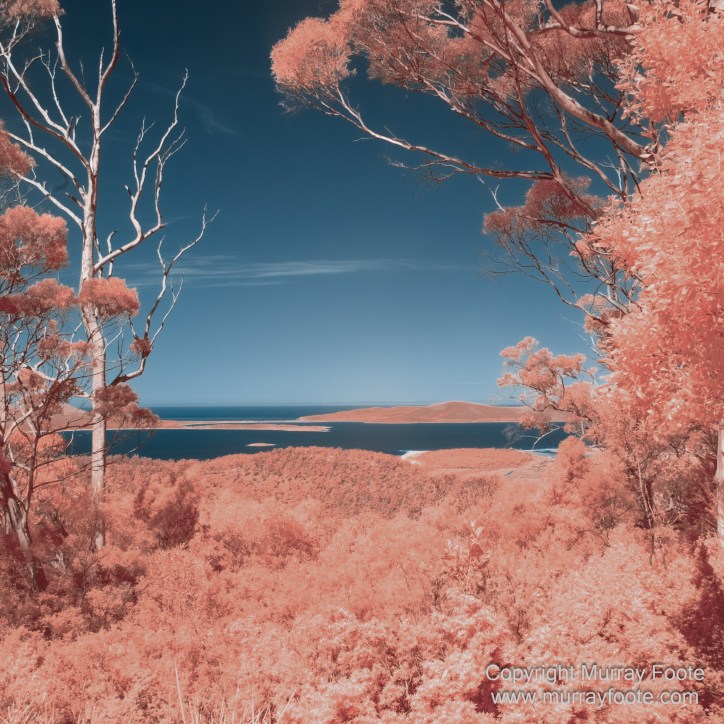 Coles Bay, Infrared, Kangaroo Bluff Battery, Landscape, Marion Bay, Nature, Photography, seascape, Sleepy Bay, Tasmania, Tessellated pavement, Thumbs Lookout, Travel