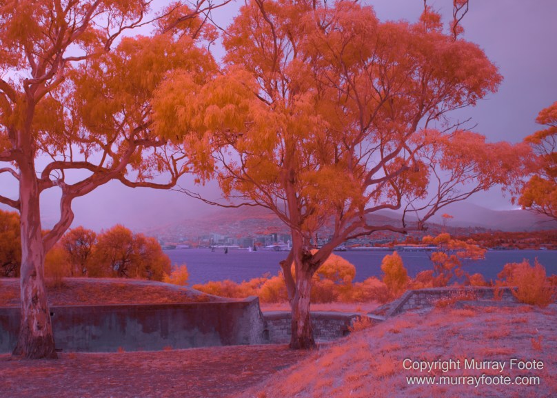 Coles Bay, Infrared, Kangaroo Bluff Battery, Landscape, Marion Bay, Nature, Photography, seascape, Sleepy Bay, Tasmania, Tessellated pavement, Thumbs Lookout, Travel