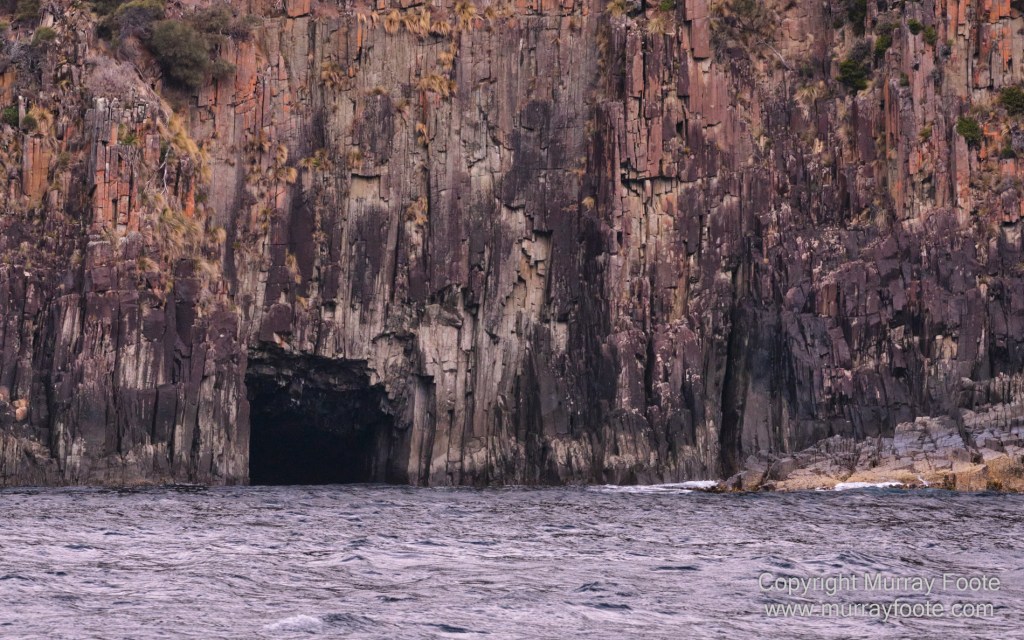Birds, Cape Pillar, Landscape, Lighthouses, Photography, Port Arthur, Sea Eagle, Seals, Tasman Island, Tasmania, Travel, Whales