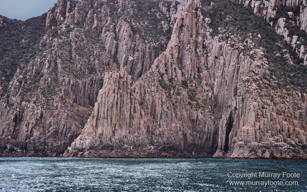 Birds, Cape Pillar, Landscape, Lighthouses, Photography, Port Arthur, Sea Eagle, Seals, Tasman Island, Tasmania, Travel, Whales