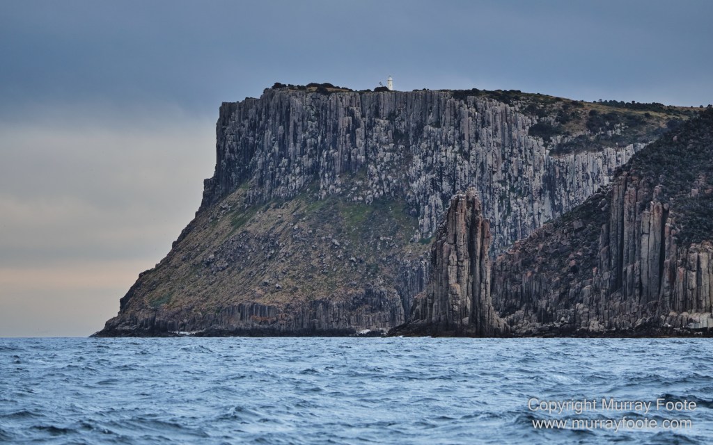 Birds, Cape Pillar, Landscape, Lighthouses, Photography, Port Arthur, Sea Eagle, Seals, Tasman Island, Tasmania, Travel, Whales