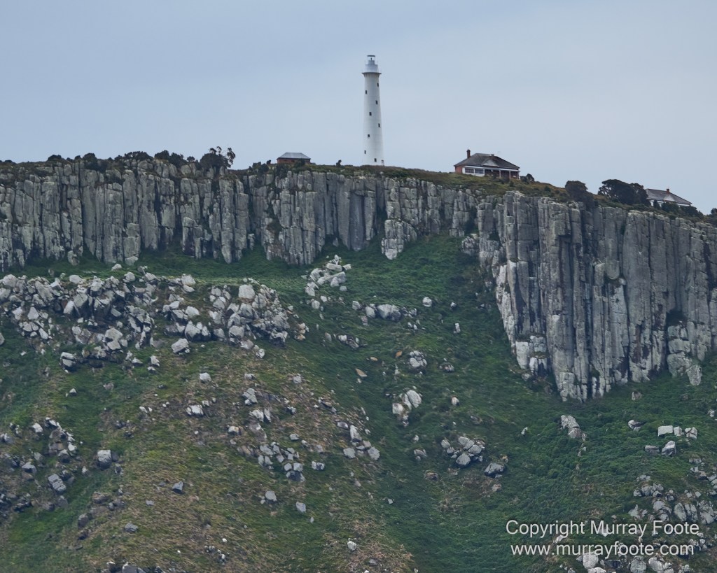 Birds, Cape Pillar, Landscape, Lighthouses, Photography, Port Arthur, Sea Eagle, Seals, Tasman Island, Tasmania, Travel, Whales