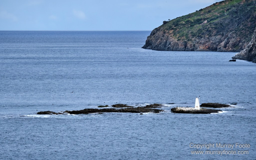 Birds, Cape Pillar, Landscape, Lighthouses, Photography, Port Arthur, Sea Eagle, Seals, Tasman Island, Tasmania, Travel, Whales