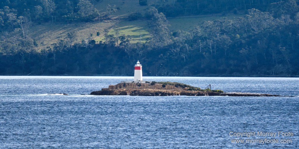 Birds, Cape Pillar, Landscape, Lighthouses, Photography, Port Arthur, Sea Eagle, Seals, Tasman Island, Tasmania, Travel, Whales