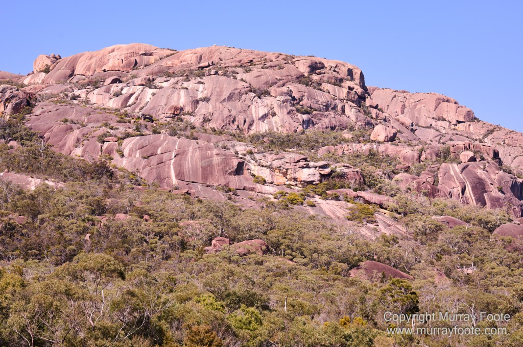 Birds, Coles Bay, Landscape, Macro, Milky Way, Photography, Port Arthur, Sleepy Bay, Tasmania, Tessellated pavement, Thumbs Lookout, Travel
