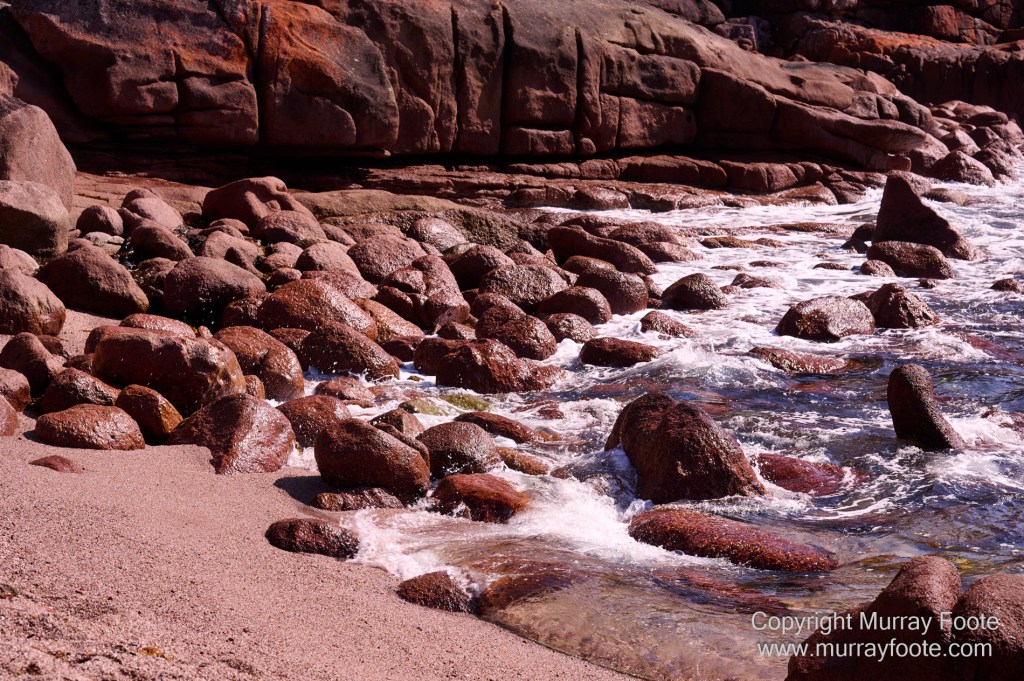Birds, Coles Bay, Landscape, Macro, Milky Way, Photography, Port Arthur, Sleepy Bay, Tasmania, Tessellated pavement, Thumbs Lookout, Travel