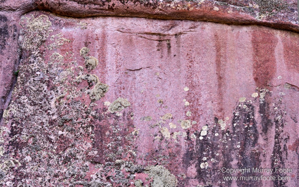Birds, Coles Bay, Landscape, Macro, Milky Way, Photography, Port Arthur, Sleepy Bay, Tasmania, Tessellated pavement, Thumbs Lookout, Travel