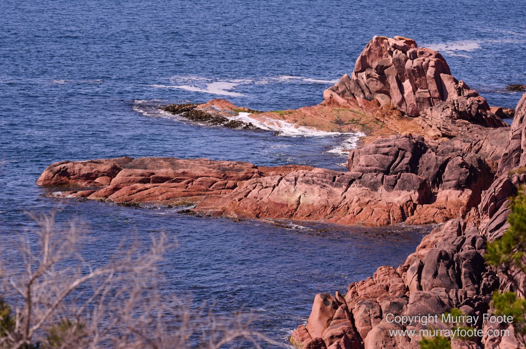 Birds, Coles Bay, Landscape, Macro, Milky Way, Photography, Port Arthur, Sleepy Bay, Tasmania, Tessellated pavement, Thumbs Lookout, Travel
