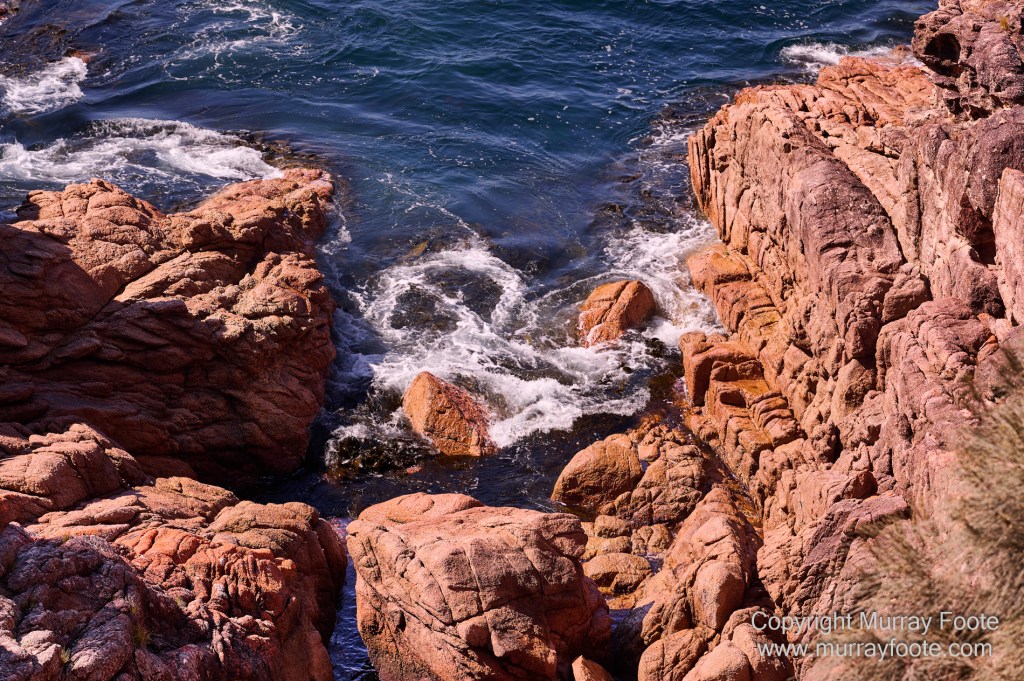 Birds, Coles Bay, Landscape, Macro, Milky Way, Photography, Port Arthur, Sleepy Bay, Tasmania, Tessellated pavement, Thumbs Lookout, Travel