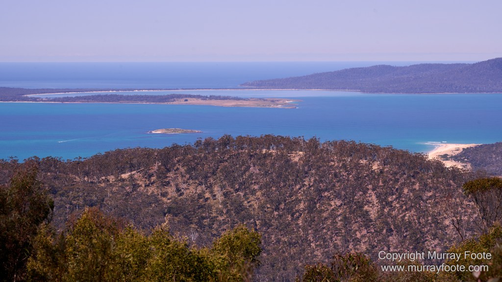 Birds, Coles Bay, Landscape, Macro, Milky Way, Photography, Port Arthur, Sleepy Bay, Tasmania, Tessellated pavement, Thumbs Lookout, Travel