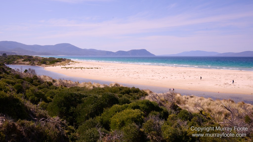 Birds, Coles Bay, Landscape, Macro, Milky Way, Photography, Port Arthur, Sleepy Bay, Tasmania, Tessellated pavement, Thumbs Lookout, Travel
