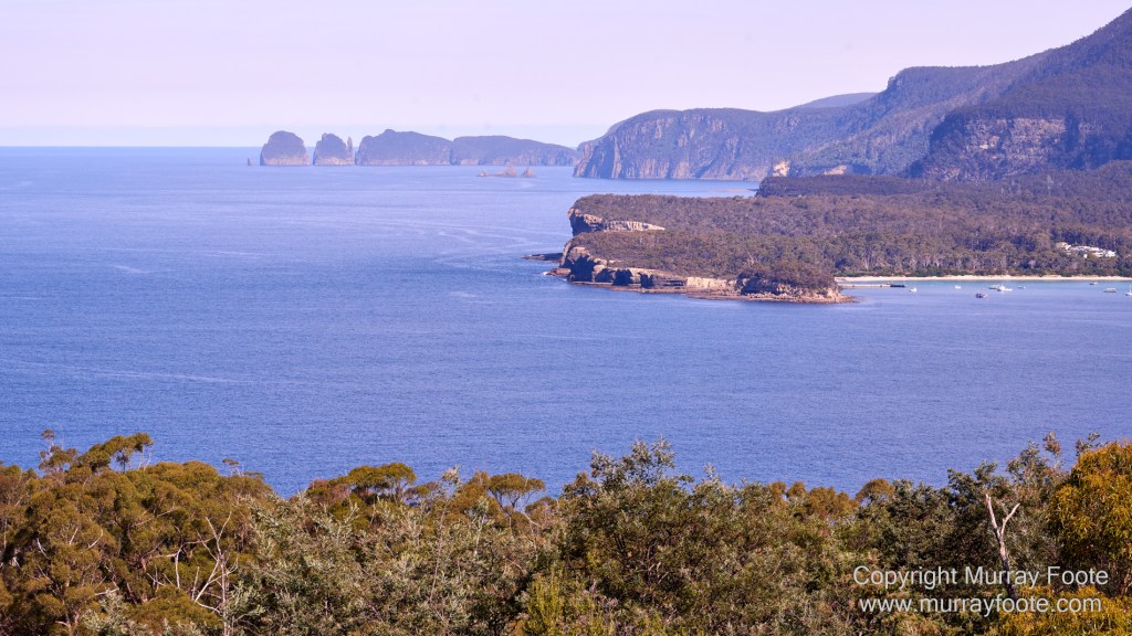 Birds, Coles Bay, Landscape, Macro, Milky Way, Photography, Port Arthur, Sleepy Bay, Tasmania, Tessellated pavement, Thumbs Lookout, Travel