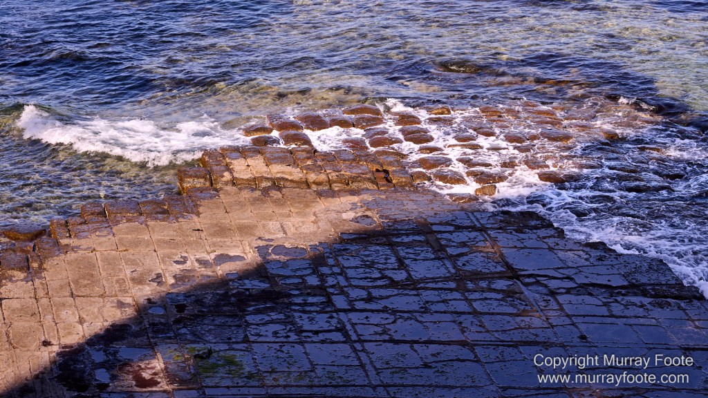 Birds, Coles Bay, Landscape, Macro, Milky Way, Photography, Port Arthur, Sleepy Bay, Tasmania, Tessellated pavement, Thumbs Lookout, Travel
