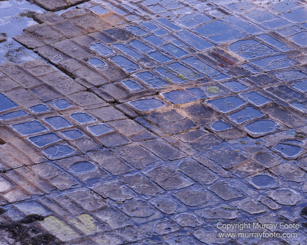 Birds, Coles Bay, Landscape, Macro, Milky Way, Photography, Port Arthur, Sleepy Bay, Tasmania, Tessellated pavement, Thumbs Lookout, Travel