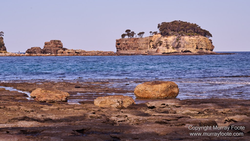 Birds, Coles Bay, Landscape, Macro, Milky Way, Photography, Port Arthur, Sleepy Bay, Tasmania, Tessellated pavement, Thumbs Lookout, Travel