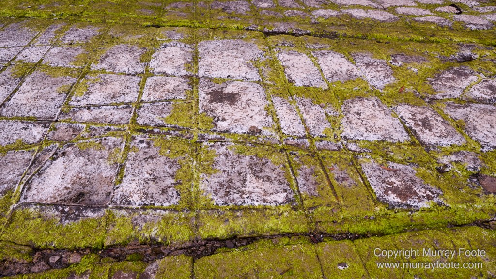 Birds, Coles Bay, Landscape, Macro, Milky Way, Photography, Port Arthur, Sleepy Bay, Tasmania, Tessellated pavement, Thumbs Lookout, Travel