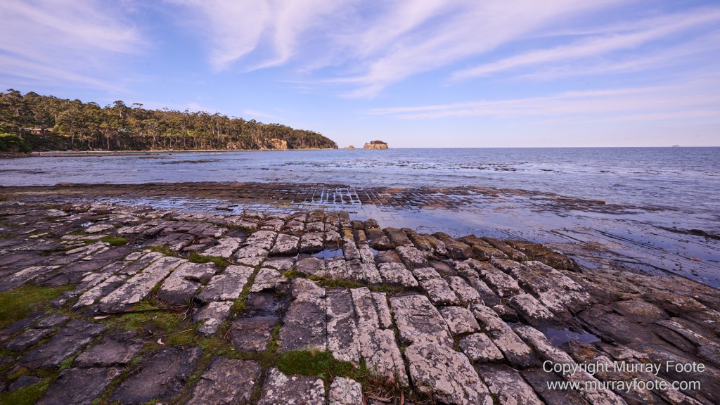 Birds, Coles Bay, Landscape, Macro, Milky Way, Photography, Port Arthur, Sleepy Bay, Tasmania, Tessellated pavement, Thumbs Lookout, Travel
