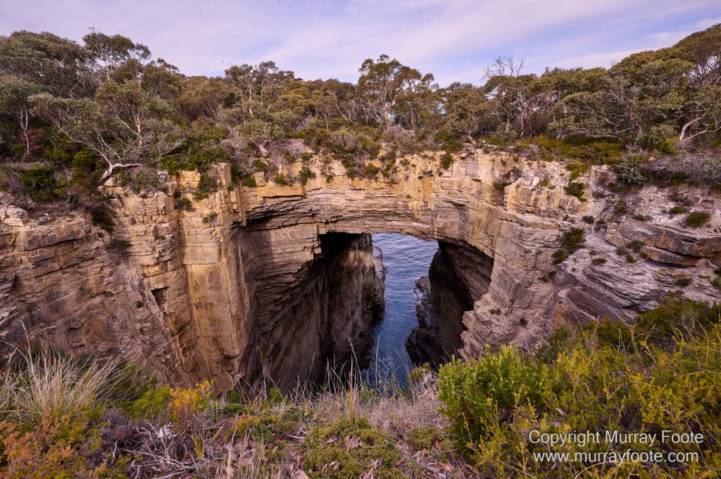 Birds, Coles Bay, Landscape, Macro, Milky Way, Photography, Port Arthur, Sleepy Bay, Tasmania, Tessellated pavement, Thumbs Lookout, Travel