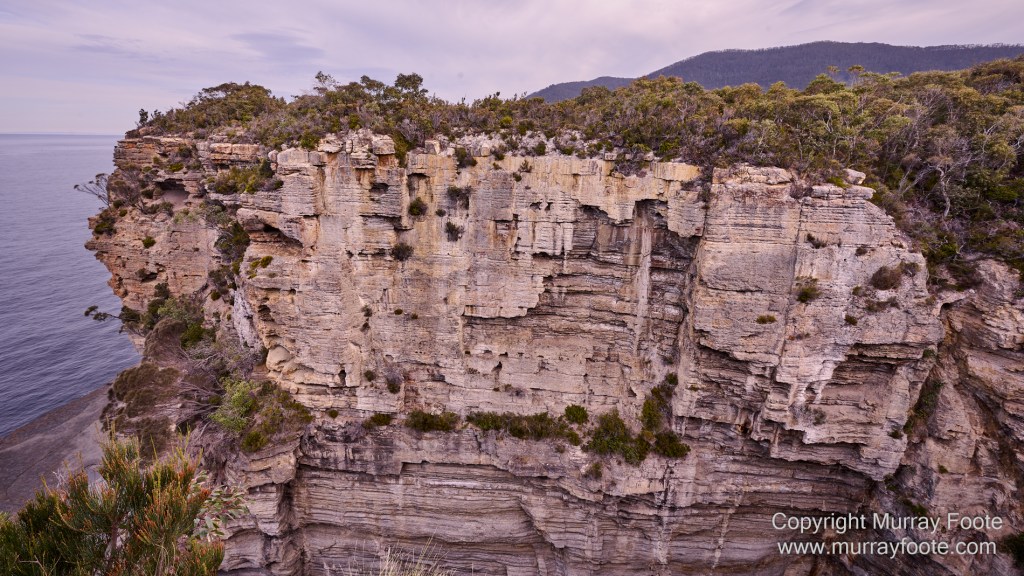 Birds, Coles Bay, Landscape, Macro, Milky Way, Photography, Port Arthur, Sleepy Bay, Tasmania, Tessellated pavement, Thumbs Lookout, Travel