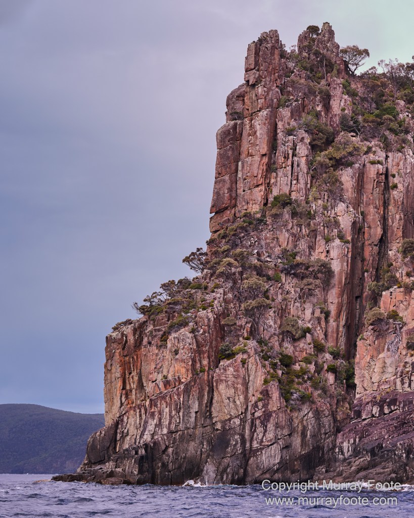Birds, Cape Pillar, Landscape, Lighthouses, Photography, Port Arthur, Sea Eagle, Seals, Tasman Island, Tasmania, Travel, Whales