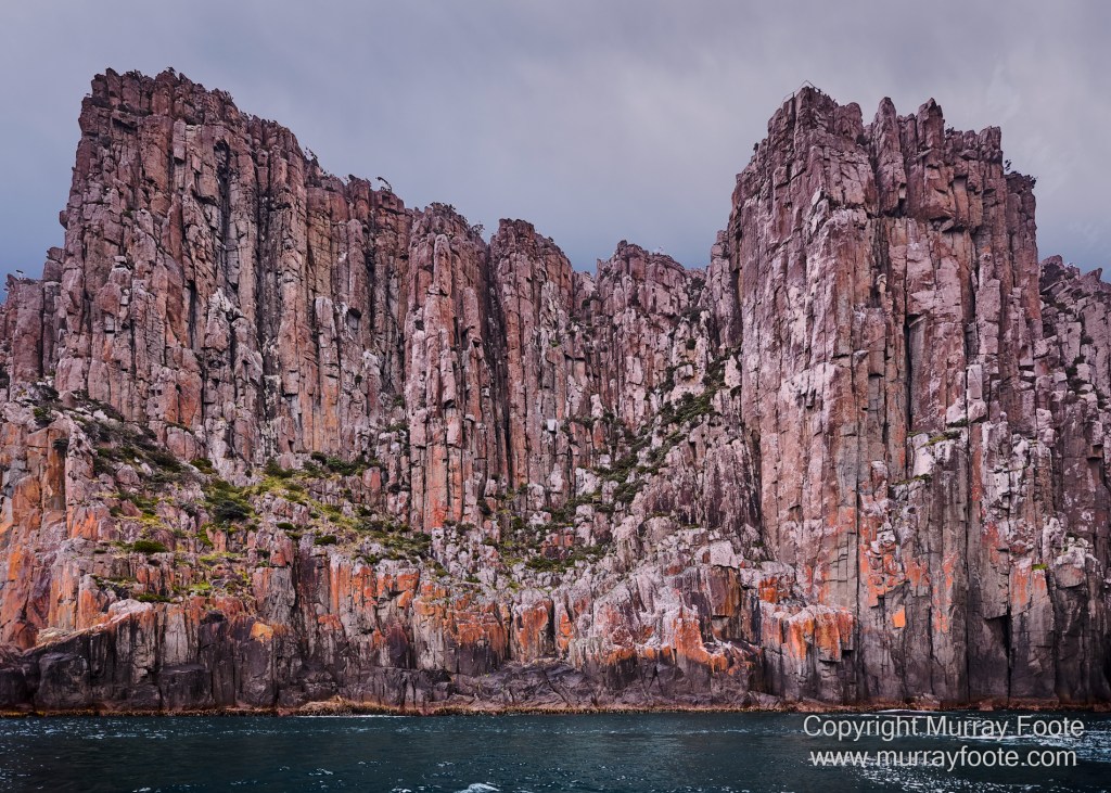 Birds, Cape Pillar, Landscape, Lighthouses, Photography, Port Arthur, Sea Eagle, Seals, Tasman Island, Tasmania, Travel, Whales