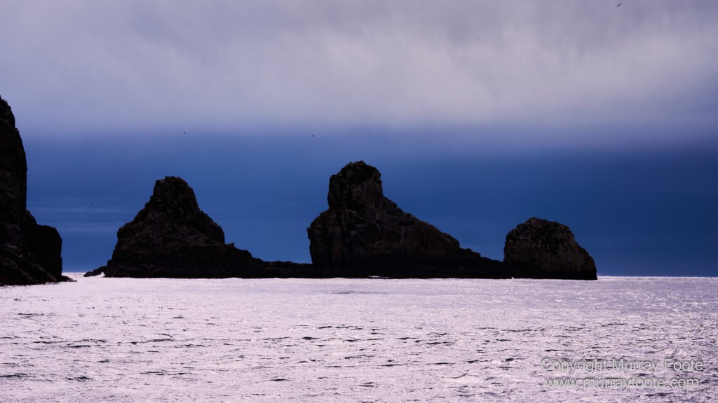 Birds, Cape Pillar, Landscape, Lighthouses, Photography, Port Arthur, Sea Eagle, Seals, Tasman Island, Tasmania, Travel, Whales