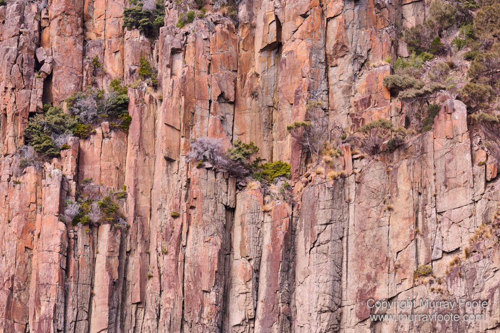 Birds, Cape Pillar, Landscape, Lighthouses, Photography, Port Arthur, Sea Eagle, Seals, Tasman Island, Tasmania, Travel, Whales