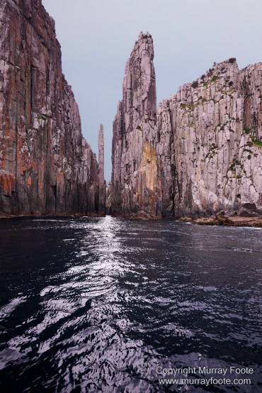 Birds, Cape Pillar, Landscape, Lighthouses, Photography, Port Arthur, Sea Eagle, Seals, Tasman Island, Tasmania, Travel, Whales