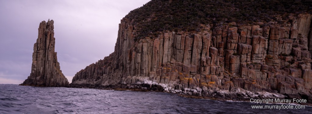 Birds, Cape Pillar, Landscape, Lighthouses, Photography, Port Arthur, Sea Eagle, Seals, Tasman Island, Tasmania, Travel, Whales