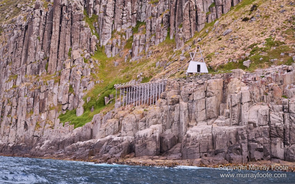 Birds, Cape Pillar, Landscape, Lighthouses, Photography, Port Arthur, Sea Eagle, Seals, Tasman Island, Tasmania, Travel, Whales
