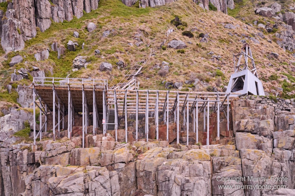 Birds, Cape Pillar, Landscape, Lighthouses, Photography, Port Arthur, Sea Eagle, Seals, Tasman Island, Tasmania, Travel, Whales