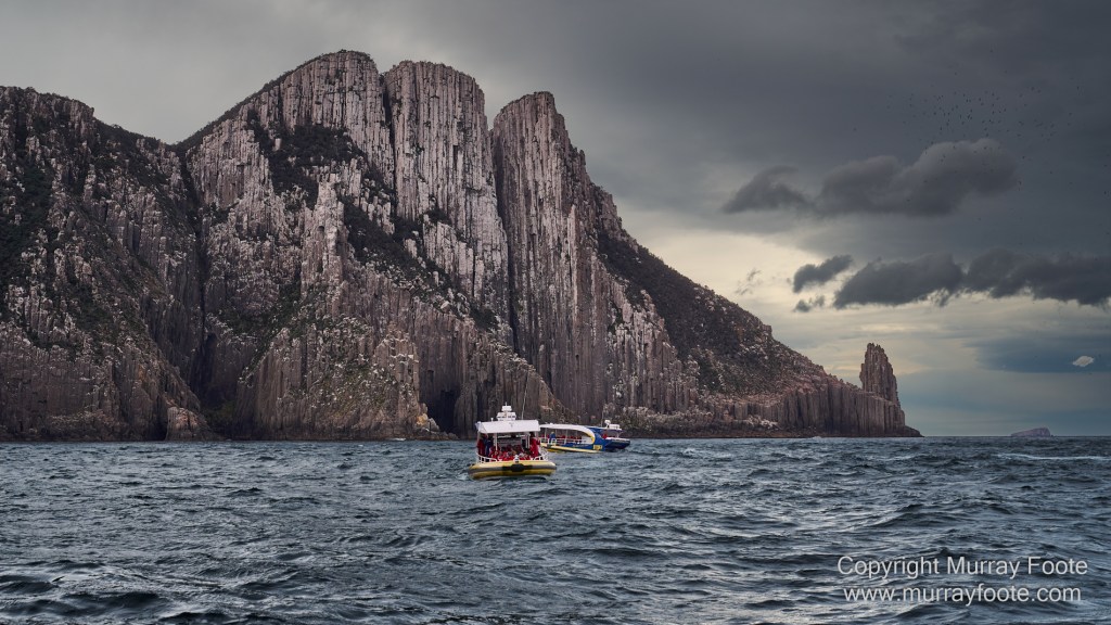 Birds, Cape Pillar, Landscape, Lighthouses, Photography, Port Arthur, Sea Eagle, Seals, Tasman Island, Tasmania, Travel, Whales