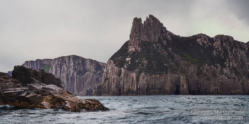 Birds, Cape Pillar, Landscape, Lighthouses, Photography, Port Arthur, Sea Eagle, Seals, Tasman Island, Tasmania, Travel, Whales