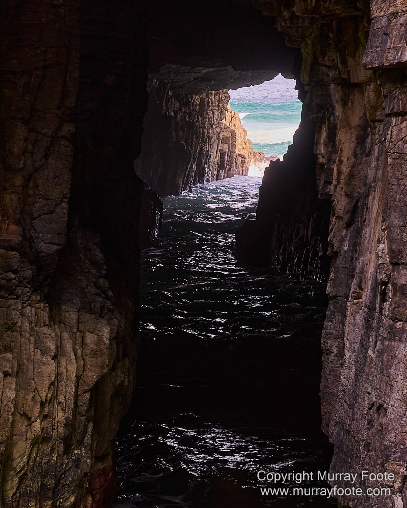 Birds, Cape Pillar, Landscape, Lighthouses, Photography, Port Arthur, Sea Eagle, Seals, Tasman Island, Tasmania, Travel, Whales