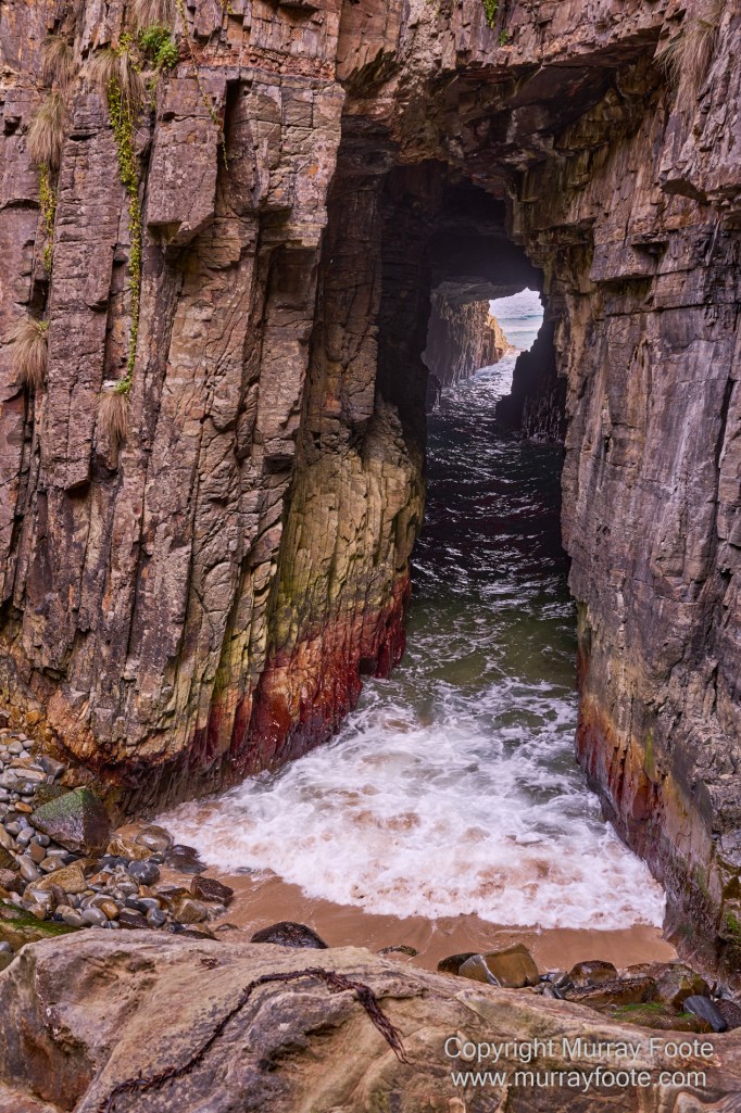 Birds, Cape Pillar, Landscape, Lighthouses, Photography, Port Arthur, Sea Eagle, Seals, Tasman Island, Tasmania, Travel, Whales