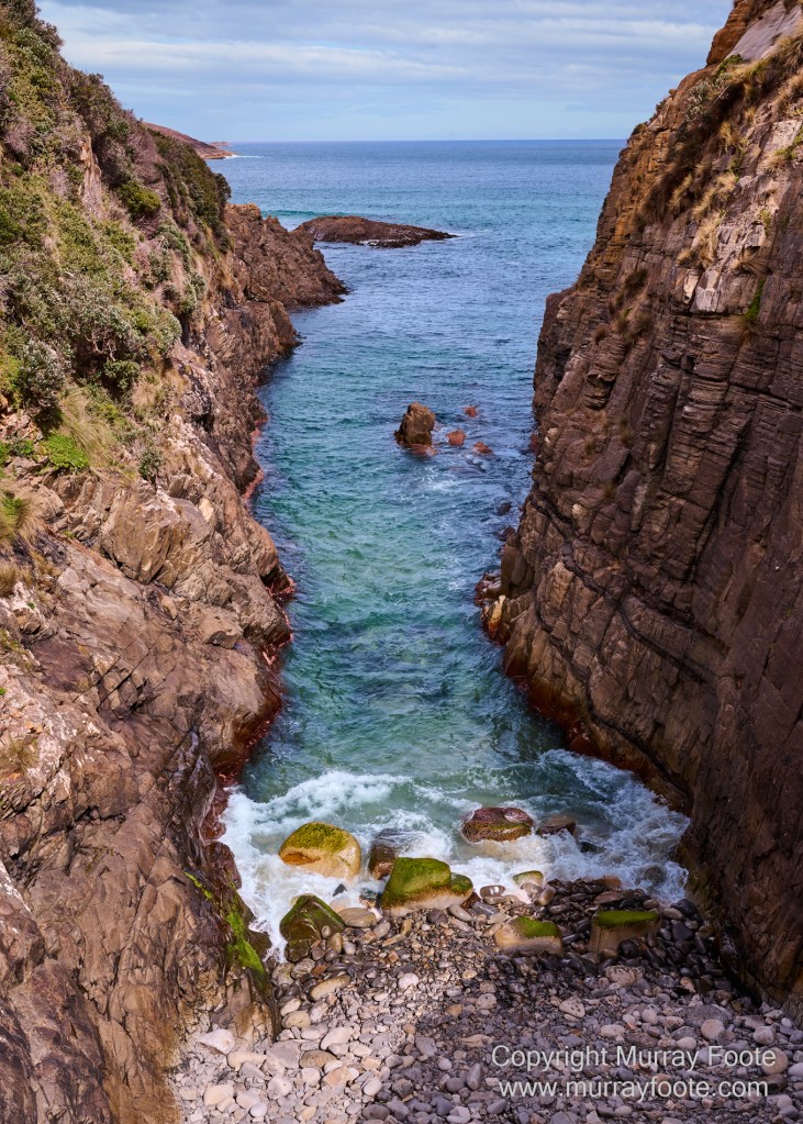 Birds, Cape Pillar, Landscape, Lighthouses, Photography, Port Arthur, Sea Eagle, Seals, Tasman Island, Tasmania, Travel, Whales