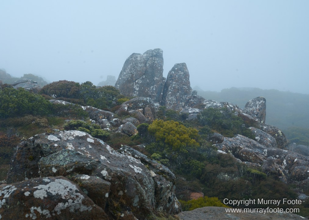 Hobart, Landscape, Mount Wellington, Nature, Photography, Tasmania, Travel, Wilderness
