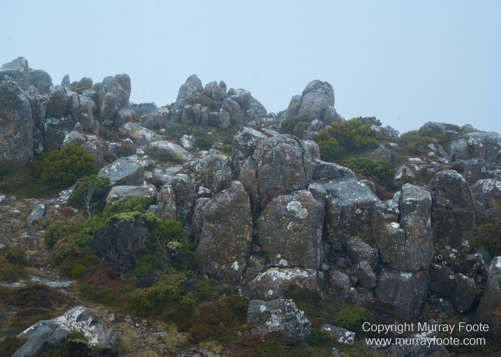 Hobart, Landscape, Mount Wellington, Nature, Photography, Tasmania, Travel, Wilderness