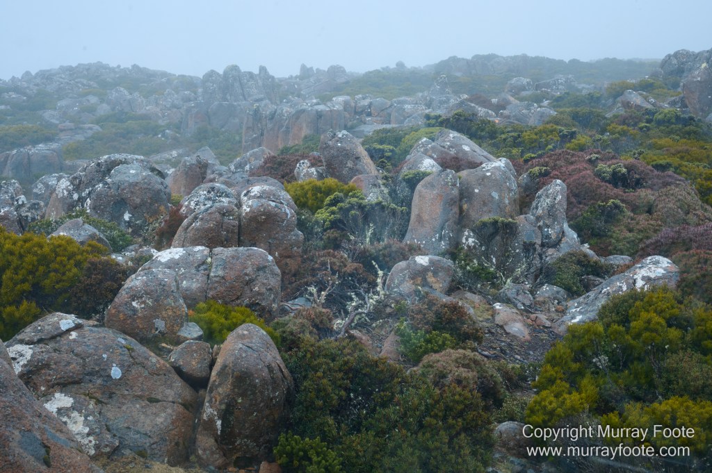 Hobart, Landscape, Mount Wellington, Nature, Photography, Tasmania, Travel, Wilderness