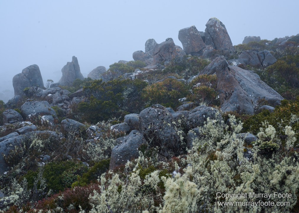 Hobart, Landscape, Mount Wellington, Nature, Photography, Tasmania, Travel, Wilderness