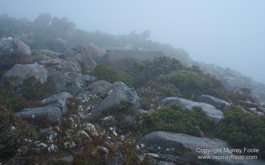 Hobart, Landscape, Mount Wellington, Nature, Photography, Tasmania, Travel, Wilderness