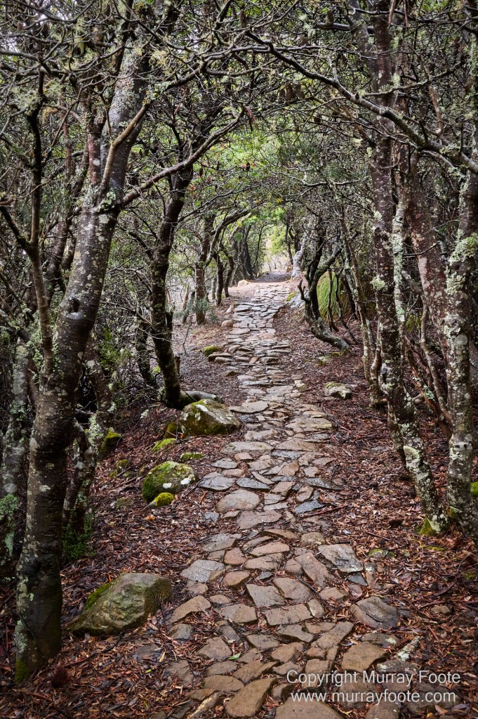 Hobart, Landscape, Mount Wellington, Nature, Photography, Tasmania, Travel, Wilderness