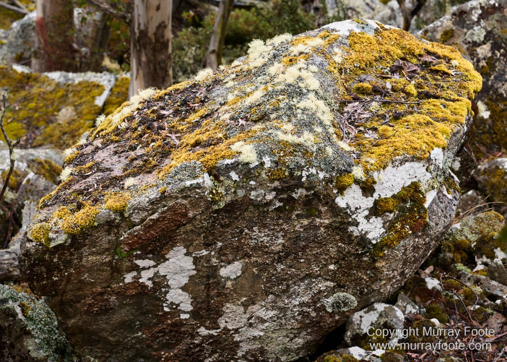 Hobart, Landscape, Mount Wellington, Nature, Photography, Tasmania, Travel, Wilderness