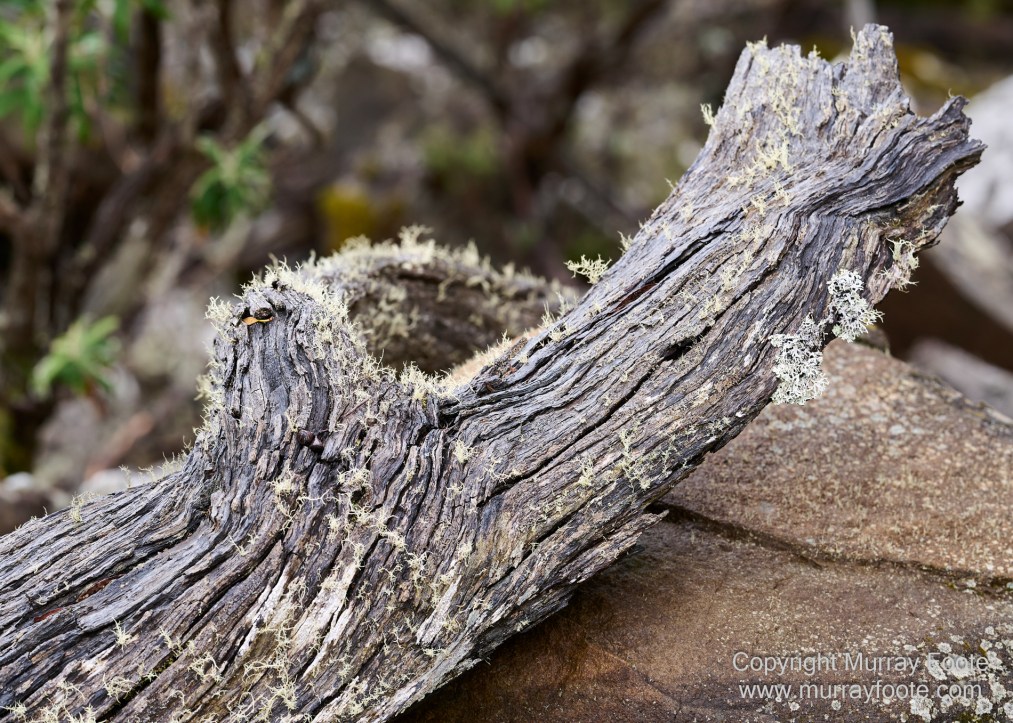 Hobart, Landscape, Mount Wellington, Nature, Photography, Tasmania, Travel, Wilderness