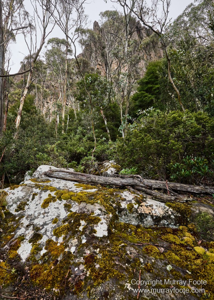Hobart, Landscape, Mount Wellington, Nature, Photography, Tasmania, Travel, Wilderness