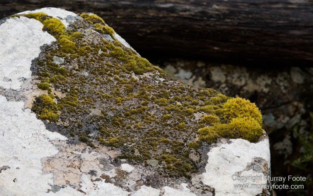 Hobart, Landscape, Mount Wellington, Nature, Photography, Tasmania, Travel, Wilderness