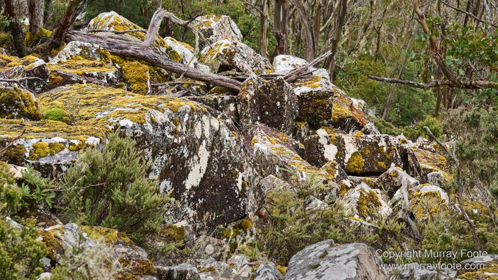 Hobart, Landscape, Mount Wellington, Nature, Photography, Tasmania, Travel, Wilderness
