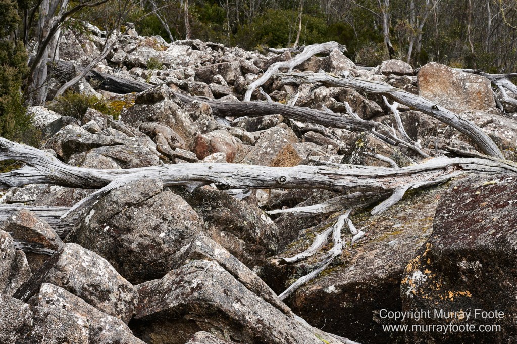 Hobart, Landscape, Mount Wellington, Nature, Photography, Tasmania, Travel, Wilderness