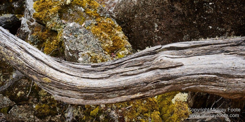 Hobart, Landscape, Mount Wellington, Nature, Photography, Tasmania, Travel, Wilderness