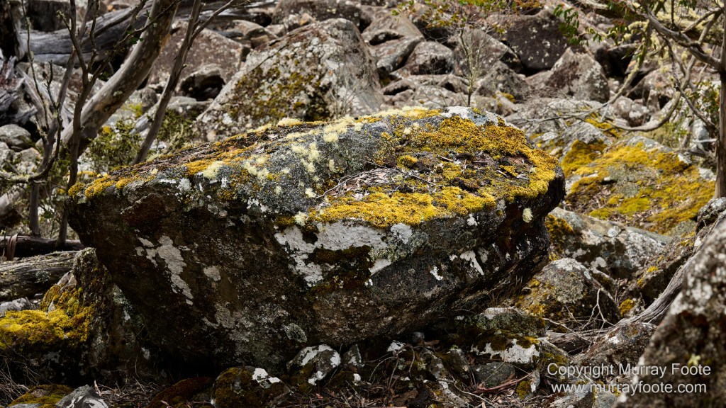 Hobart, Landscape, Mount Wellington, Nature, Photography, Tasmania, Travel, Wilderness